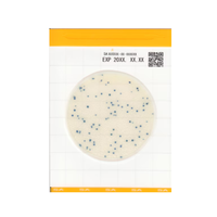 Easy Plate SA (Staphylococcus Aureus) | Placa de medios preparados - Kikkoman